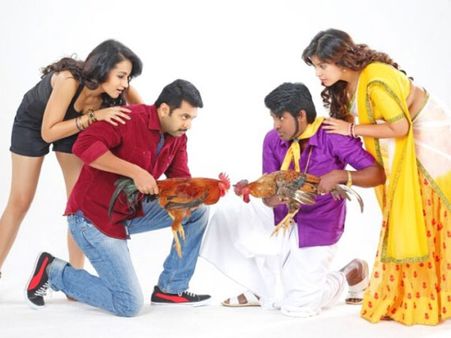 கோள்மூட்டிய 