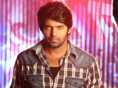 ஆர்யாவின் 'செல்லாக்குட்டி' யார் தெரியுமா?