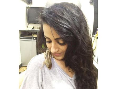 யாருப்பா அது த்ரிஷா வேனிட்டி வேனில் அனுமதி இல்லாமல் நுழைந்தது?