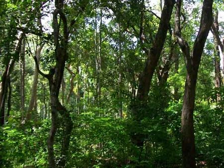 நேர்முகம்... கேரளா காட்டுக்குள் காணாமல் போகும் ஏழு ஜோடிகளின் சஸ்பென்ஸ் த்ரில்லர்!