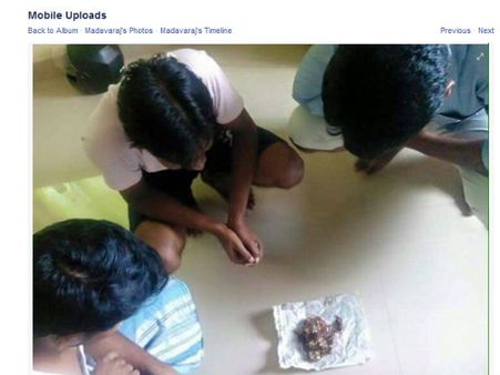 இப்டியும் செலவில்லாம ஈஸியா வீட்லயே ‘புலி’யைப் பார்க்கலாமாம் பாஸ்!