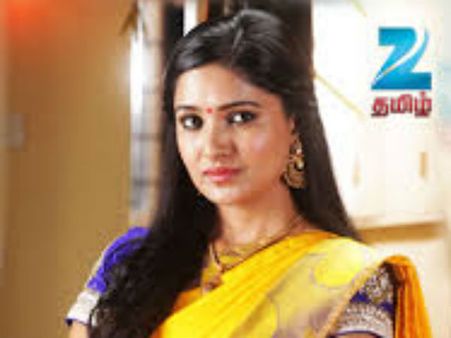 பிரியமானவள்... குலதெய்வம்... லட்சுமி வந்தாச்சு... 2015ல் இவங்க புதுசுங்க...