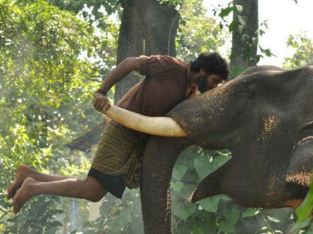 கும்கி-2: மீண்டும் விக்ரம் பிரபுவை இயக்கும் பிரபு சாலமன்!