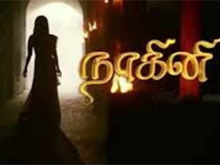 புஸு... புஸு... பாம்பைத் துரத்தும் சீரியல் இயக்குநர்கள்!