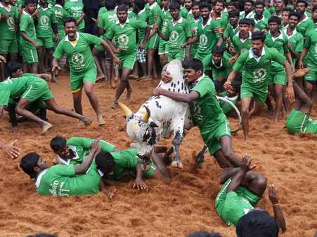 இளமி... ஜல்லிக்கட்டுக்காக ஒரு படம்!