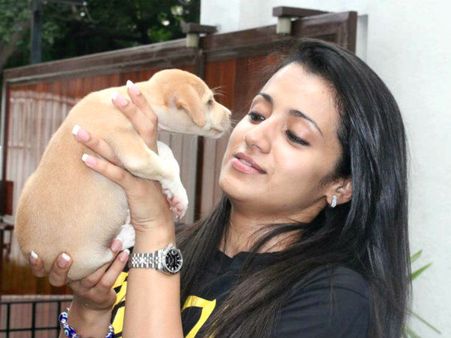 ஜல்லிக்கட்டு சர்ச்சை: டுவிட்டரை விட்டு வெளியேறிய திரிஷா