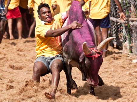 தமிழனின் நெஞ்சை நிமிர்த்தும் 'வீரத்தமிழன்