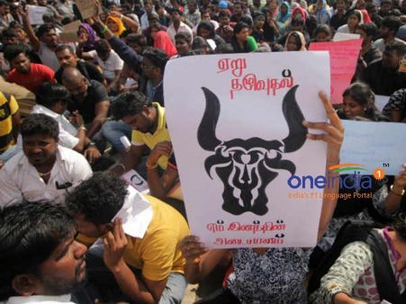 நோ பிரஸ் மீட்ஸ், ஆடியோ ரிலீஸ், பட வெளியீடு... ஜல்லிக்கட்டுக்காக ஸ்தம்பித்தது திரையுலகம்!