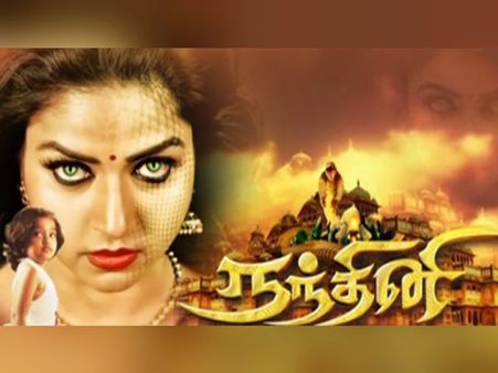 சன் டிவியில் நாகினி பாம்பு அவுட்... நந்தினி பாம்பு இன்