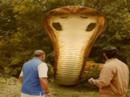 இது சீரியலா.. மெகா பட்ஜெட் சினிமாவா... பிரமிக்க வைக்கும் நந்தினி!