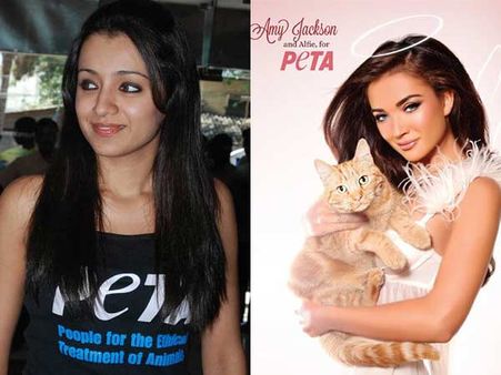 பீட்டாவுக்கு எதிராக ஒட்டுமொத்த திரையுலகமும்... பீட்டாவிருந்து விலகுவார்களா த்ரிஷா, எமி?