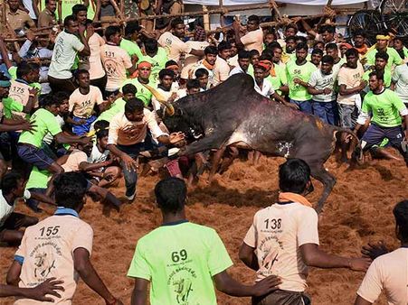 தென்னிந்திய சினிமா வரலாற்றில் முதல்முறையாக கென்யாவில் உருவான ஜல்லிக்கட்டு திரைப்படம்!