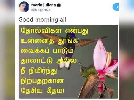 ட்விட்டரில் குட் மார்னிங் சொன்ன ஜூலி: கிழி கிழின்னு கிழித்த நெட்டிசன்ஸ்
