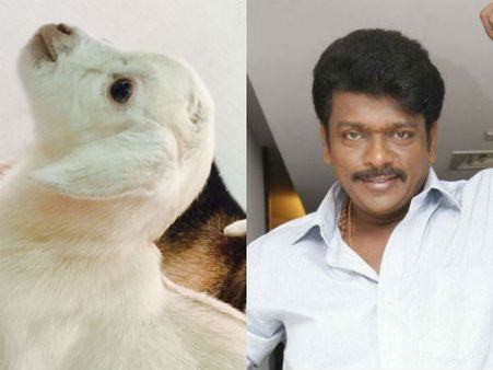 பார்த்திபன் வீட்டு ஆட்டுக்குட்டியும் குண்டக்க மண்டக்கனு கத்துமா?