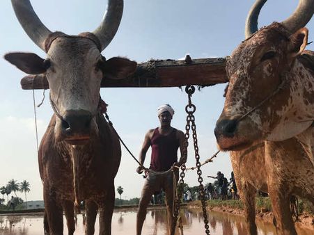 முன்னாடி பேய்... இப்போ விவசாயம் - தமிழ் சினிமாவில் இது விவசாய சீசன்!