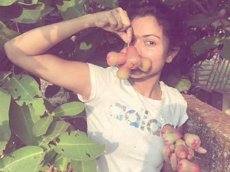 இது ஜாமூன் என்றால் ஜாமூனே நம்பாது சேச்சி: அமலா பாலை கலாய்த்த நெட்டிசன்ஸ்