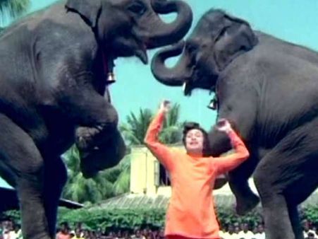 அஃறிணைகளைப் பயன்படுத்தி எடுக்கப்படும் திரைப்படங்கள்