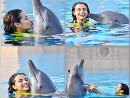 கண்டதும் காதலில் விழுந்து இறுக்கி அணைச்சு உம்மா கொடுத்த த்ரிஷா