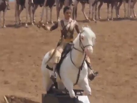 இது தான் உங்க வீரமா?: நடிகையை விளாசும் நெட்டிசன்கள்