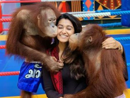 'ஹும்... கொடுத்து வெச்ச குரங்கு'... ஒரெயொரு போட்டோ போட்டு நெட்டிசன்களை ஏங்க வைத்த நடிகை!