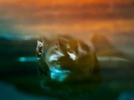 எல்லாரும் ஆடை இல்லாமத்தானே பிறக்கறோம்... அப்டீன்னா இந்த வசனம் சரியா?