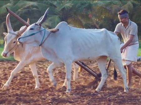 உதயநிதி ஸ்டாலினின் படத்திற்கு விருது.. ஹேப்பி மோடில் படக்குழு!