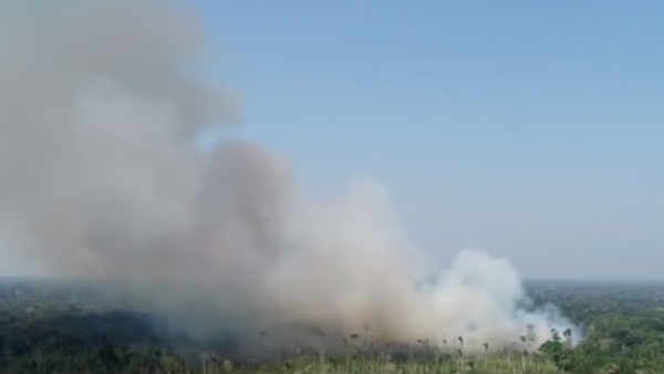 அமேசான் காட்டில் தீ: பூமியின் நுரையீரல் பற்றி எரிகிறது.. ஆபத்தை உணருங்கள்.. பதறும் பிரபலங்கள்!