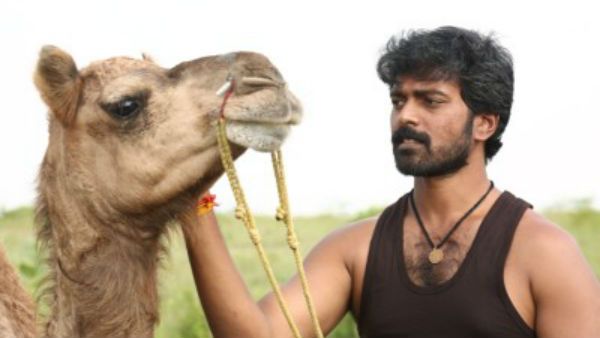 இதற்குத்தானே ஆசைப்பட்டாய் விக்ராந்த்… பக்ரீத் பட வெற்றியால் குஷியான விக்ராந்த்