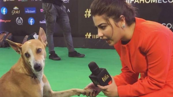 விருது வழங்கும் விழாவில் நாயை பேட்டி எடுத்த பிரபல நடிகை.. வைரலாகும் வீடியோ.. குவியும் பாராட்டுகள்!