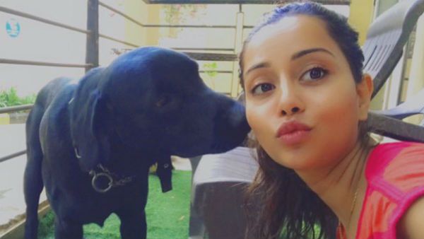 என்னம்மா ரைசா.. கடைசியில நிலைமை இப்படி ஆகிப்போச்சே!