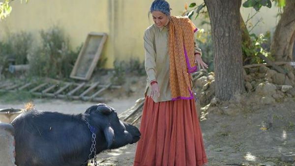 சிவனேன்னு கிடந்த எருமை மாடு.. சீண்டிப் பார்த்த டாப்சி.. பிறகென்ன ஓட்டம்தான்!