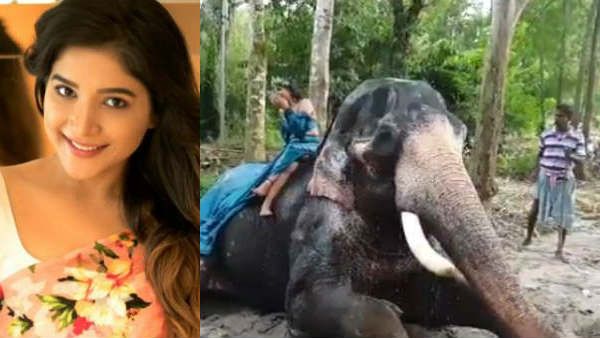 நேற்று பட்டன் போடாமல்.. இன்று யானை மீது அமர்ந்து கவர்ச்சி குளியல்.. வேற லெவலில் மிரட்டும் சாக்ஷி!