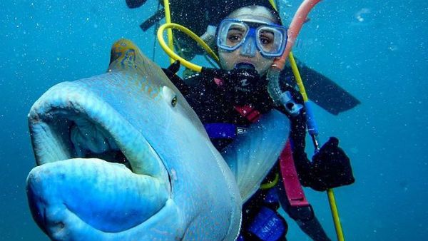 நெஜமாவே ‘தளபதி 64’ நாயகிக்கு செம தில் தான் பா.. கடலுக்கு அடியில் என்ன செஞ்சாரு பாருங்க!