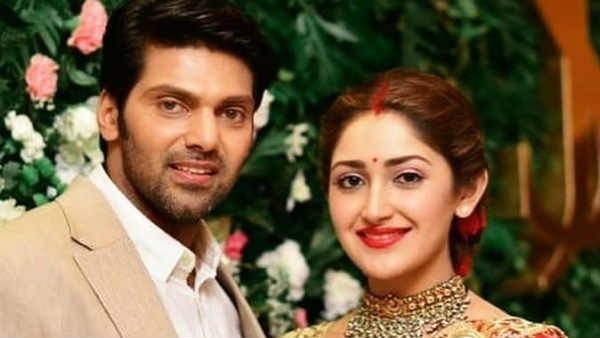 2019ல் டும்டும்டும் கொட்டிய சினிமா ஸ்டார்கள்.. ஆர்யாதான் டாப்