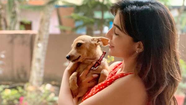 எனது செல்ல நாய் கூப்பருக்கான அன்பு சிறப்பானது.. பார்வதி நாயர்