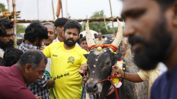 தயாரிப்பாளர் ஆன வில்லன் அருள்தாஸ்.. மதயானை கூட்டம் இயக்குனர் இயக்கத்தில் தினேஷ்.. மாடுபிடி வீரராம்