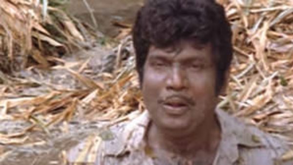 காந்த கண்ணழகி இந்தா இங்கே பூசு... ஆஹா.. கவுண்டரைப் பார்த்து எம்புட்டு நாளாச்சு!