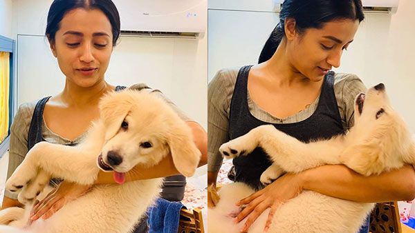 ஷூட்டிங் ஸ்பாட்டில் நாயுடன் விளையாடும் திரிஷா வைரல் ஆகும் புகைப்படம்