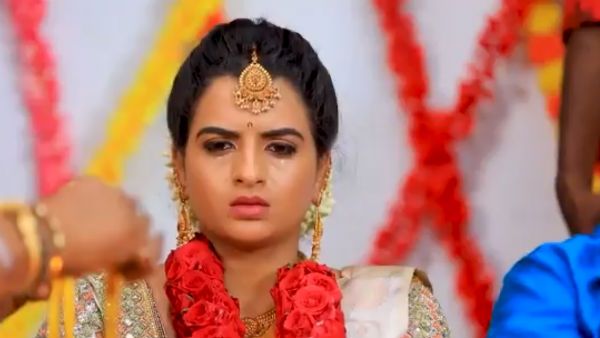 naam iruvar namakku iruvar serial: தாமரை கழுத்துல மாயண்ணந்தேன் தாலி கட்னாப்டியா?