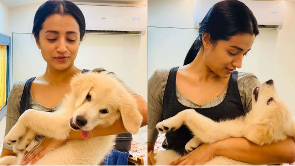 ஷூட்டிங் ஸ்பாட்டில் நாயுடன் விளையாடும் திரிஷா வைரல் ஆகும் புகைப்படம்