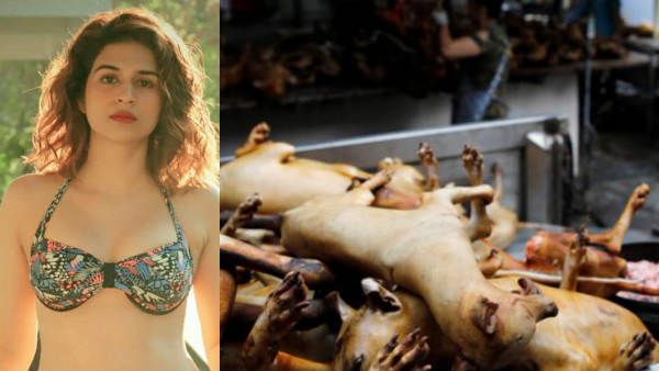 கொரோனா பாதிச்சும் திருந்தலையாடா நீங்க.. சீனர்களை வெளுத்து வாங்கிய பாலிவுட் நடிகை!