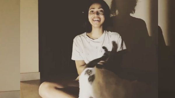 பூனையிடம் உதை வாங்கிய அமலா பால்.. புருஷனை பத்தி வாயே திறக்கலையே.. வைரலாகும் வீடியோ!