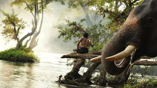 கொரோனா அச்சுறுத்தல்... தள்ளிப் போகிறது பிரபு சாலமனின் காடன் ரிலீஸ்... ஈராஸ் நிறுவனம் அறிவிப்பு