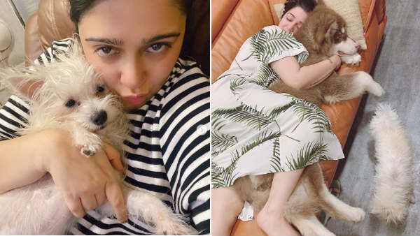 லாக்டவுன் இப்படி மாத்திடுச்சே.. குவாரைன்டைன் பார்ட்னர் இவர்தானாம்.. பிரபல நடிகை வெளியிட்ட போட்டோ!