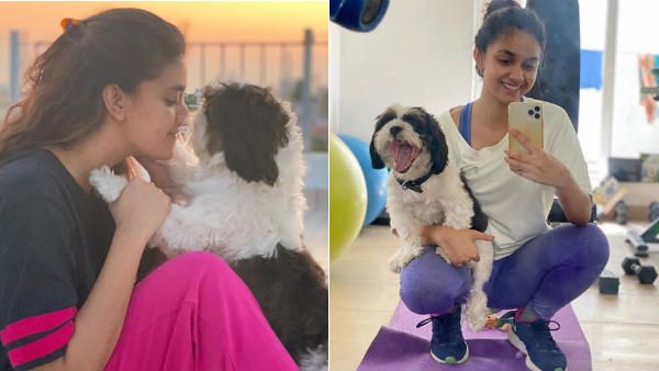 ஓய் செல்ஃபி.. செல்ல நாய்க்குட்டியுடன் ஜிம்மில்.. வைரலாகும் கீர்த்தி சுரேஷின் க்யூட் போட்டோ!