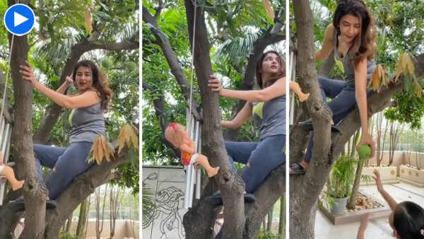 இந்த லாக்டவுன் இப்படி ஆக்கிடுச்சே? மரமேறி மாங்காய் பறித்த பிரபல நடிகை..வீடியோ வெளியிட்டு அசத்தல்!