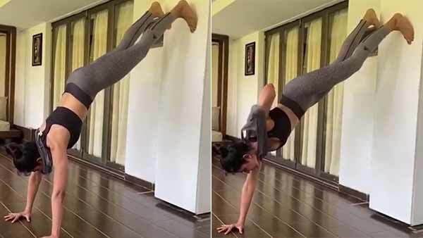 உள்ளாடையுடன் வொர்க்கவுட்.. டி-ஷர்ட்டை எப்படி போடுறாரு பாருங்க.. வித்தை காட்டும் ரகுல் ப்ரீத் சிங்!