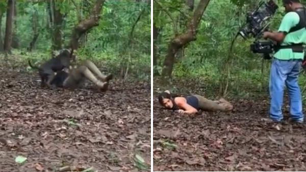 செம தில்லு மா.. பிட்புல்லுடன் ஆக்‌ஷன் காட்சி.. அசராமல் நடித்த சுனைனா.. பாராட்டும் ரசிகாஸ்!