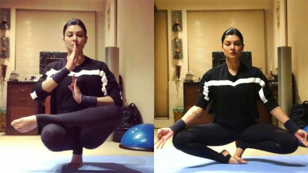 யோகா செய்து கலக்கிய ஷக்க லக்க பேபி.. வைரல் வீடியோ!