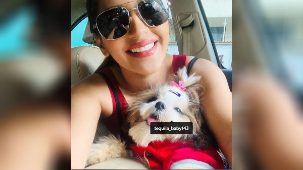 செம க்யூட்.. கிளிப், ரிப்பன்லாம் போட்டு.. யாஷிகா கிட்ட சிக்கித் தவிக்கும் செல்ல நாய்க்குட்டி!